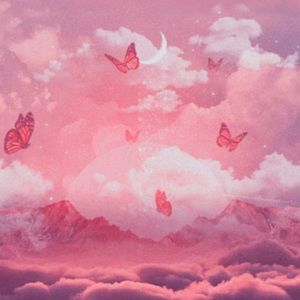 Meet your Posher, Daisy